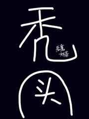 我的头发分布