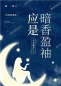应是暗香盈袖百度