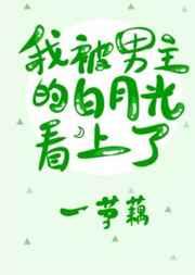 我被男主的白月光看上了[穿书