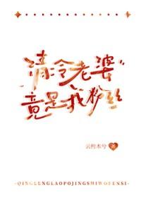 清冷老婆竟是我粉丝免费阅读