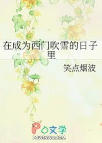 在成为西门吹雪的日子里微盘