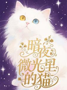 微光by夜猫子